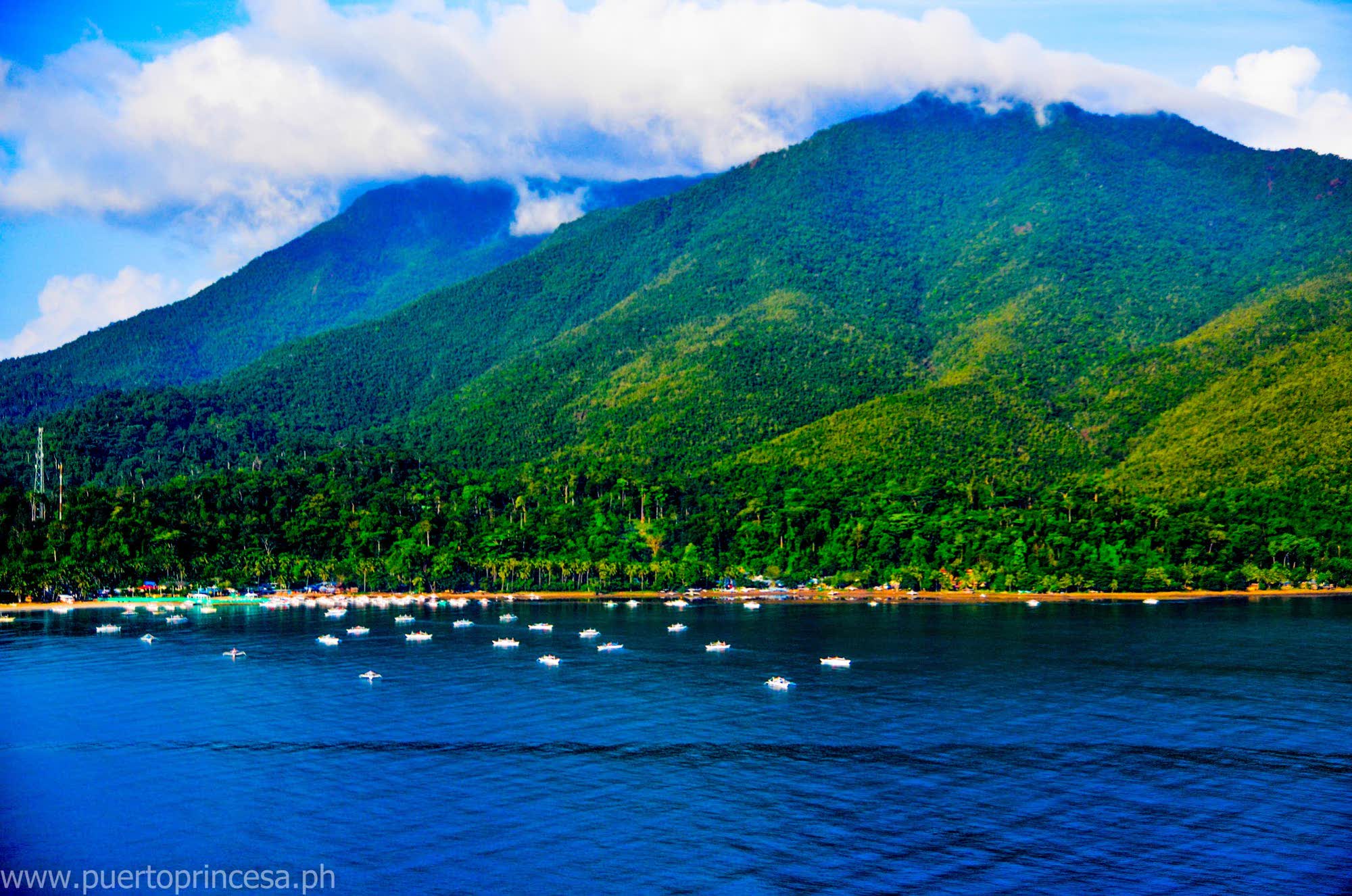 Green mountains rising over a calm blue bay dotted with boats