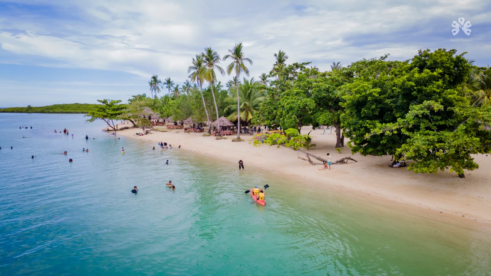 Swimmers in clear shallow water off a beach lined with trees