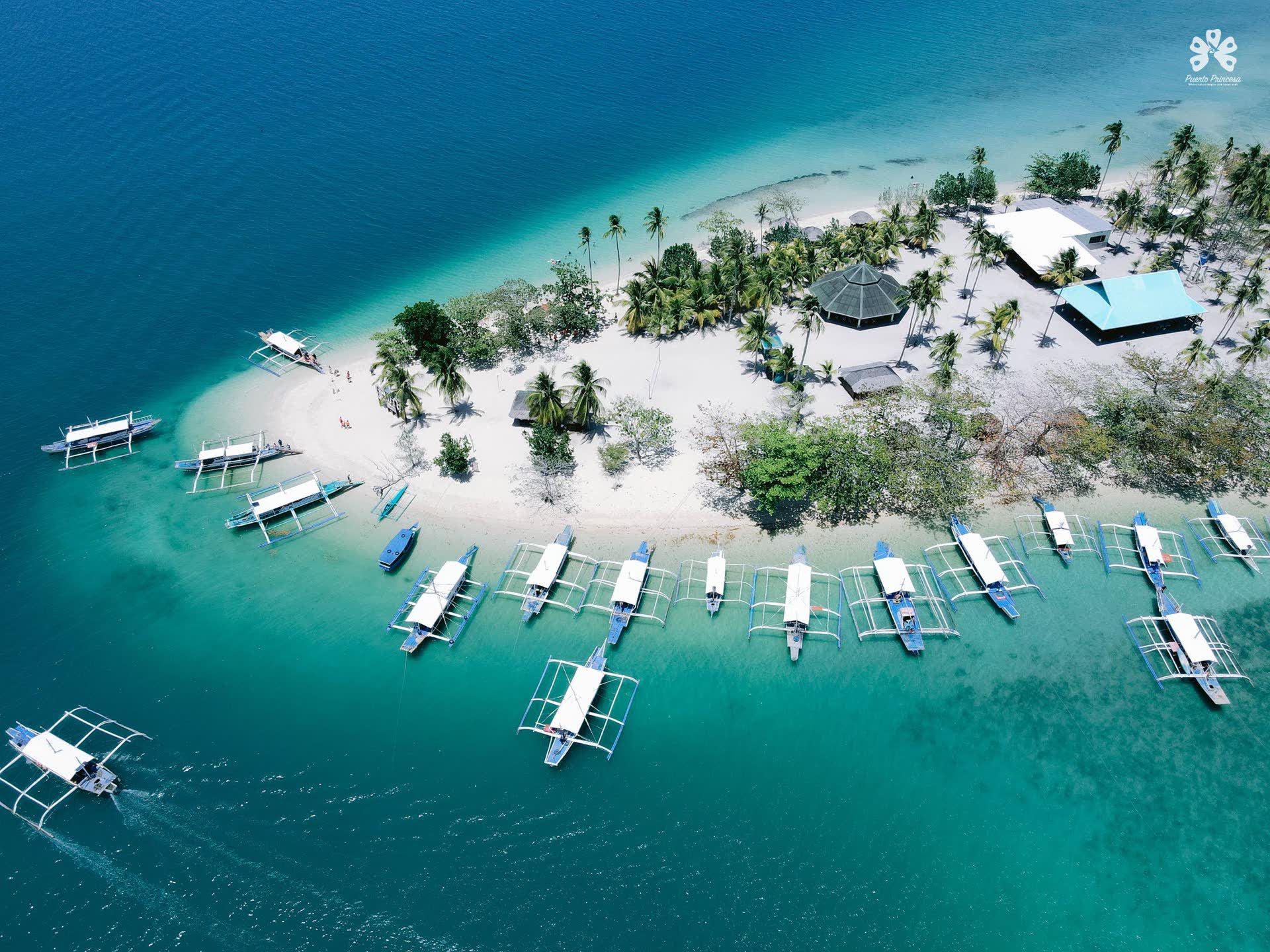Aerial view of a small white-sand island ringed by outrigger boats in turquoise water