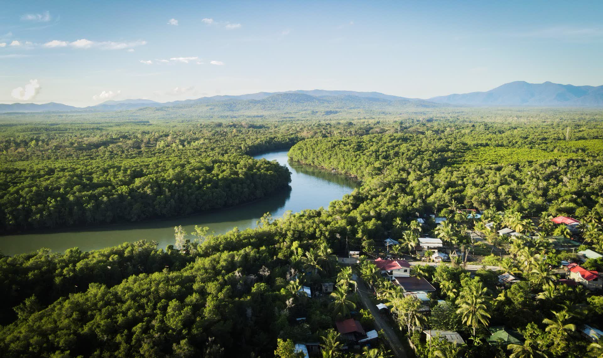 Aerial view of a river winding through dense green forest toward the mountains