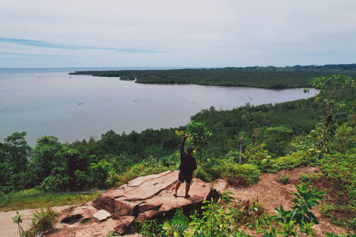 A person on a rocky lookout above a wide bay fringed with mangroves