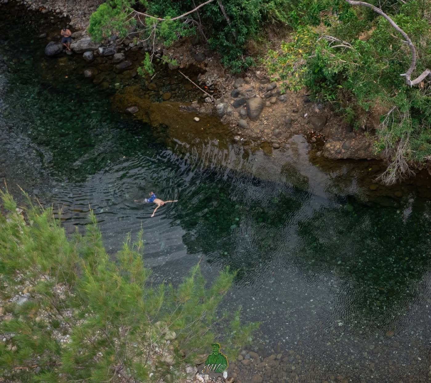 A swimmer in a deep green river pool, seen from above