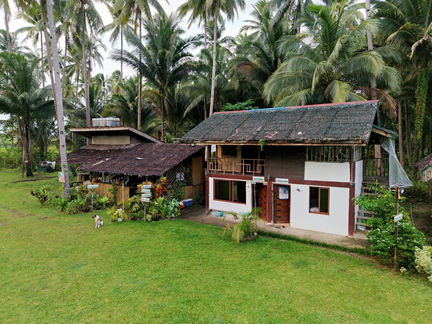 A two-storey wooden house on a lawn among coconut palms