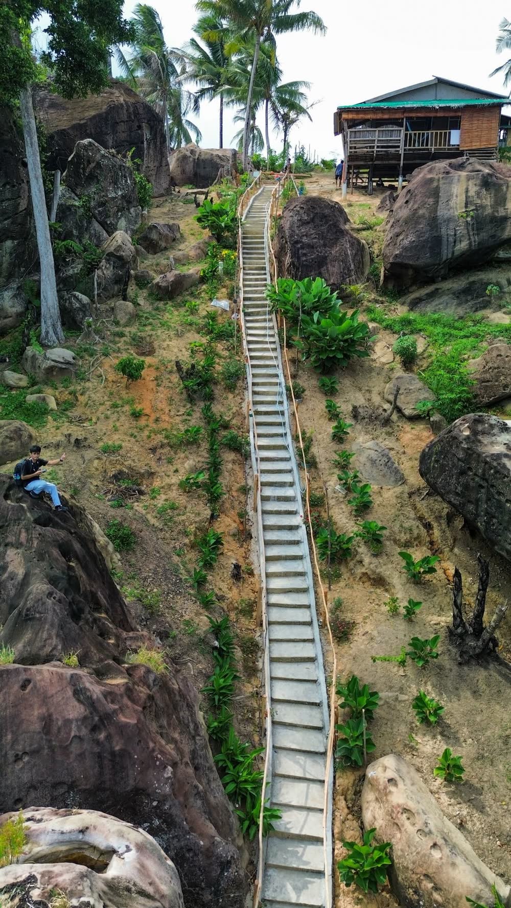 A long stairway climbing between boulders and flowering gardens