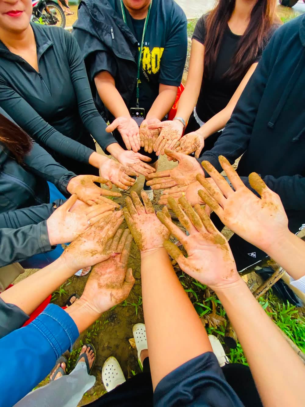 Many soil-covered hands held together in a circle after planting