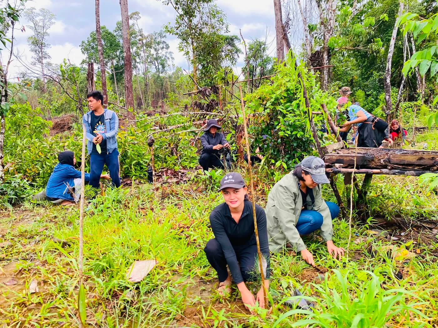 Volunteers planting seedlings in a cleared patch of forest