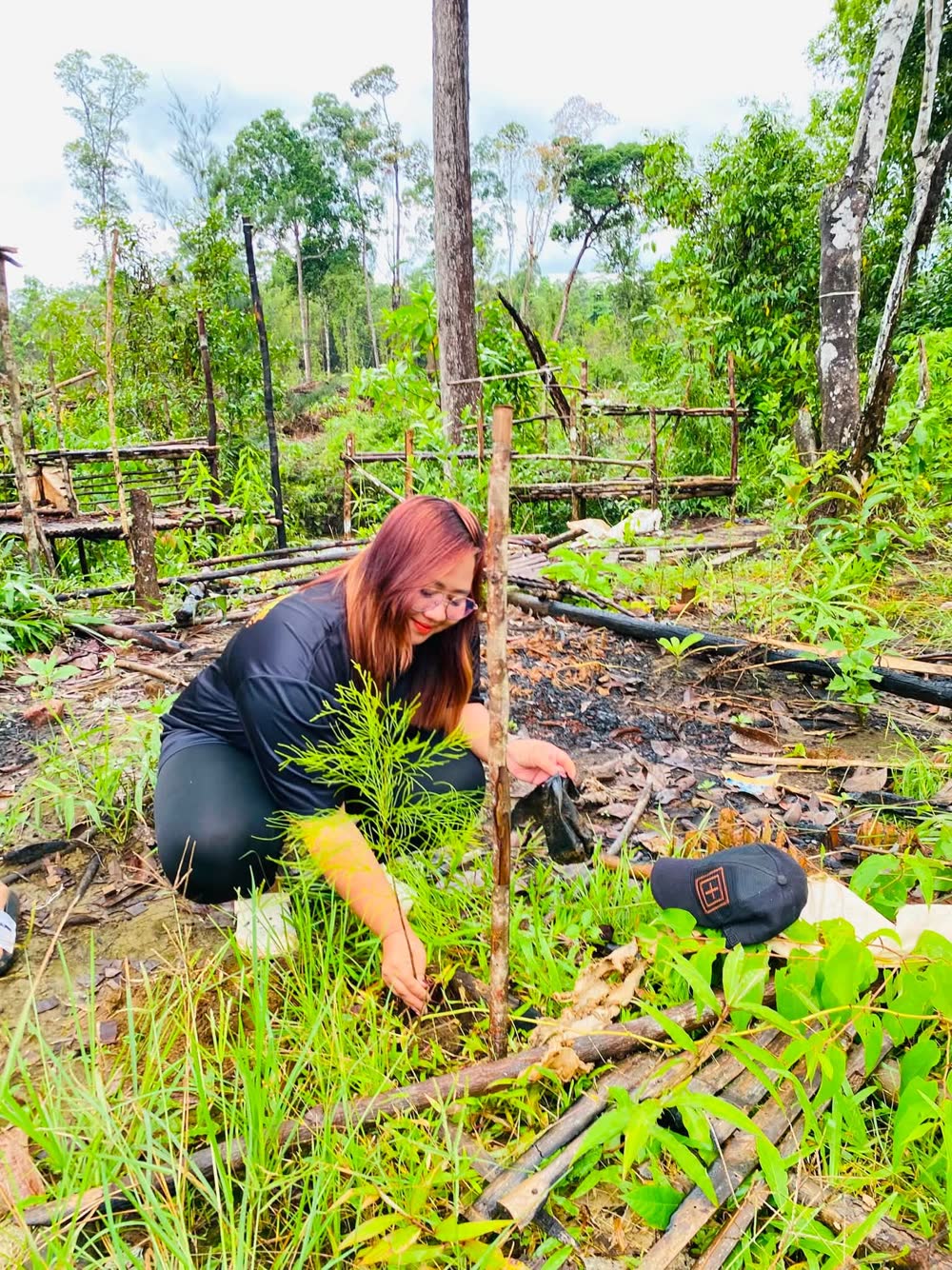 A woman kneels to plant a seedling in a cleared patch of forest