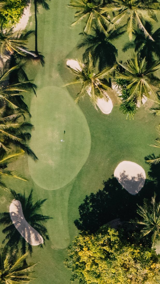 An aerial view of green lawn and trees on the island