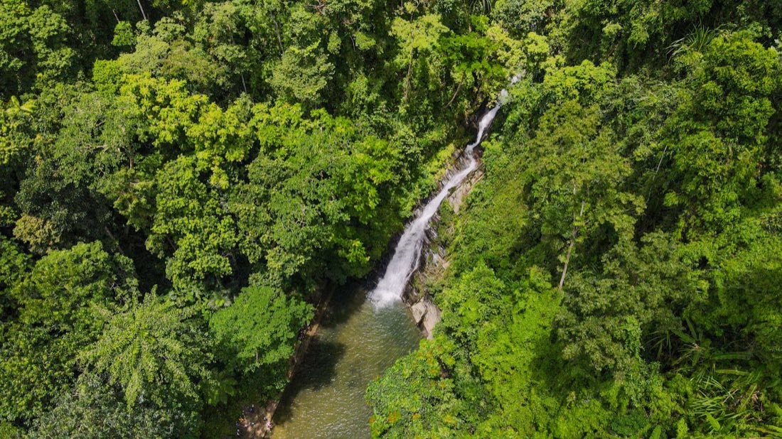 Aerial view of a waterfall in dense forest