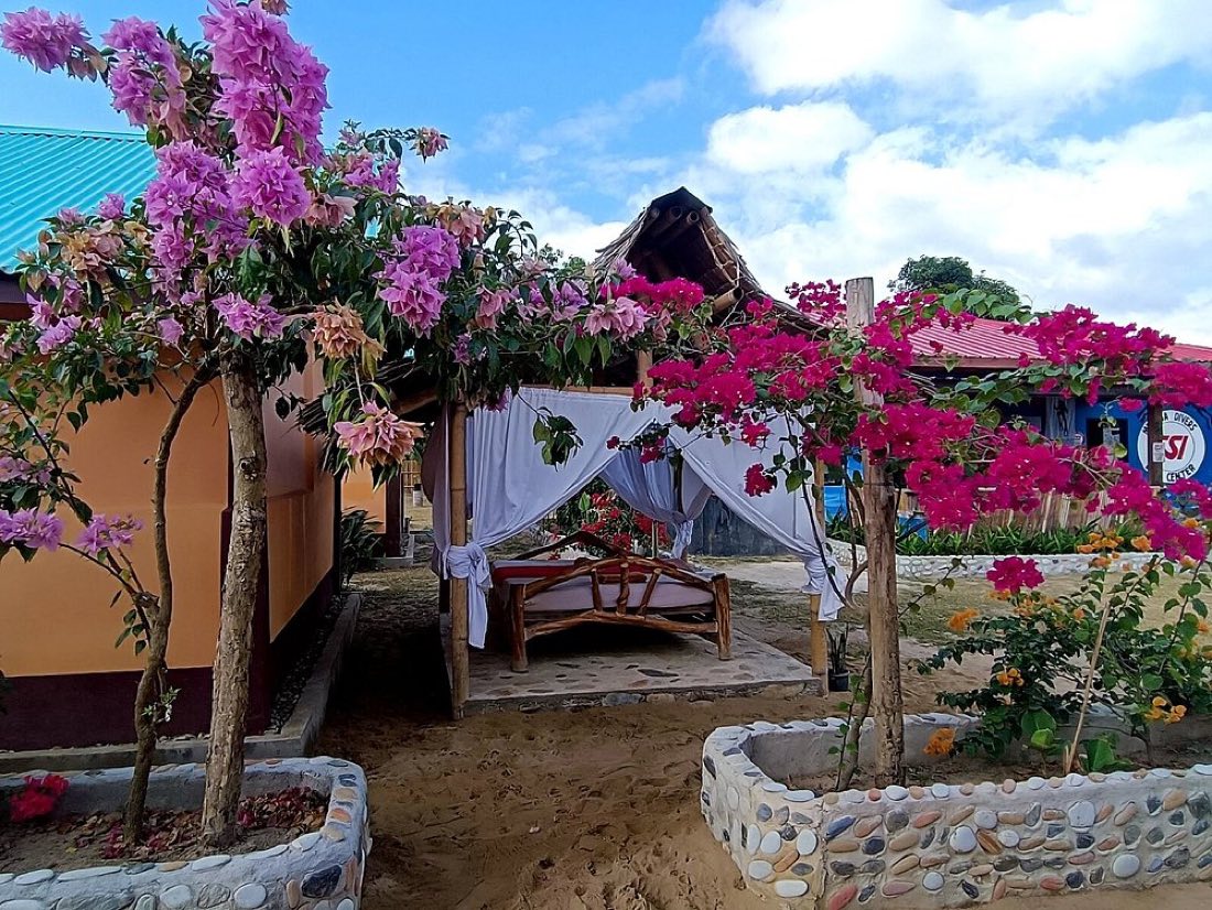 Bougainvillea over a garden terrace by the sea