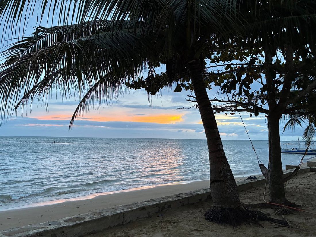 Palms silhouetted against the evening sky over a calm sea