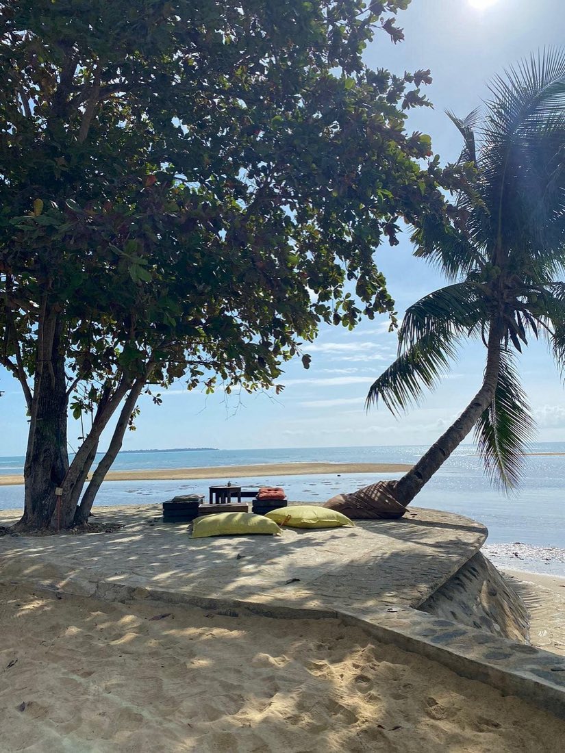 A hammock under trees looking out over the water
