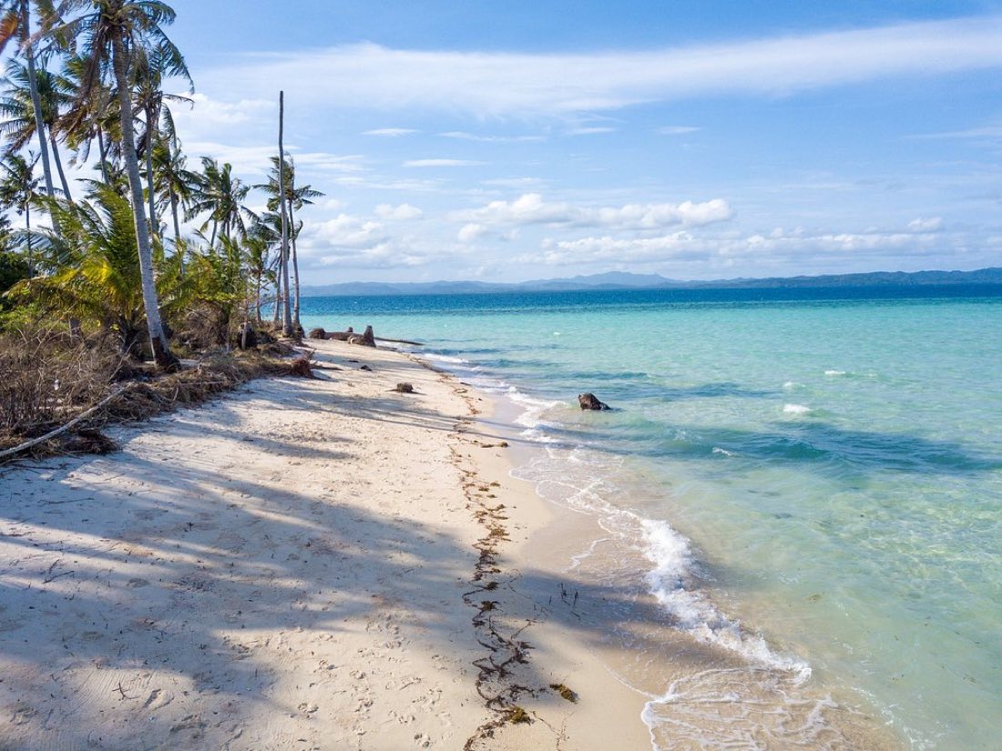 A white beach curving away under palms