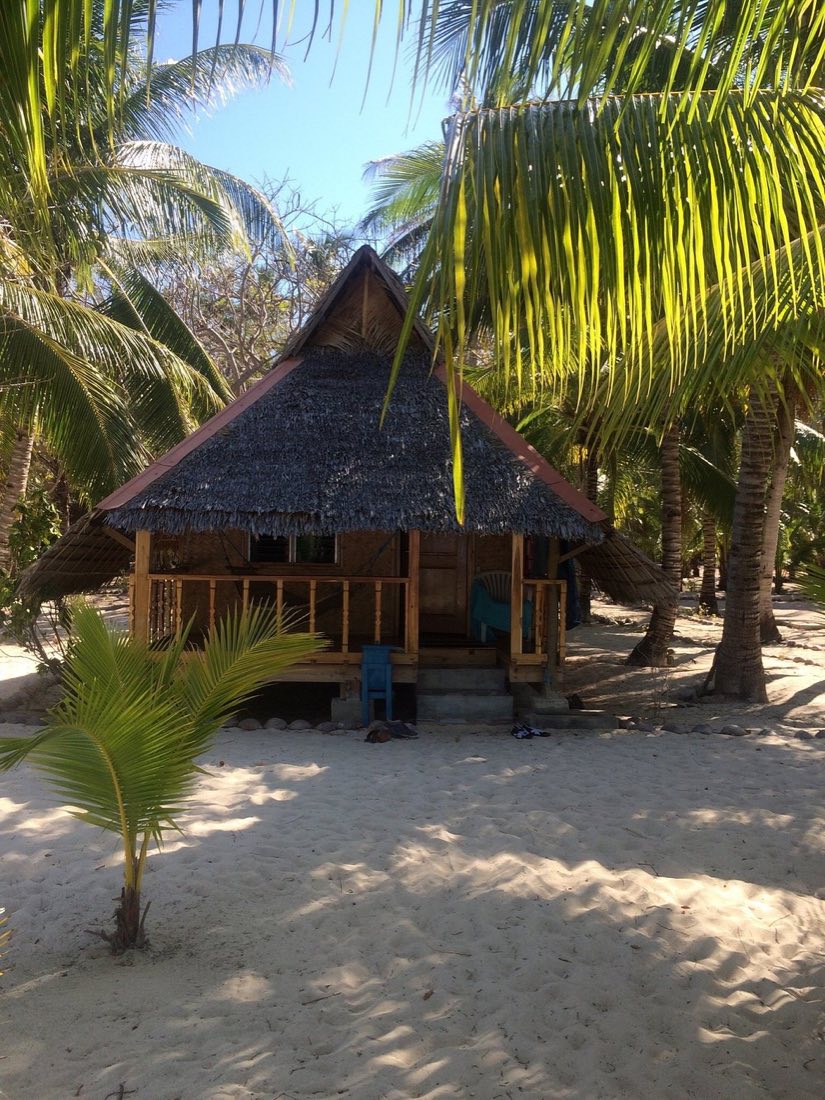 A thatched beach hut among palms