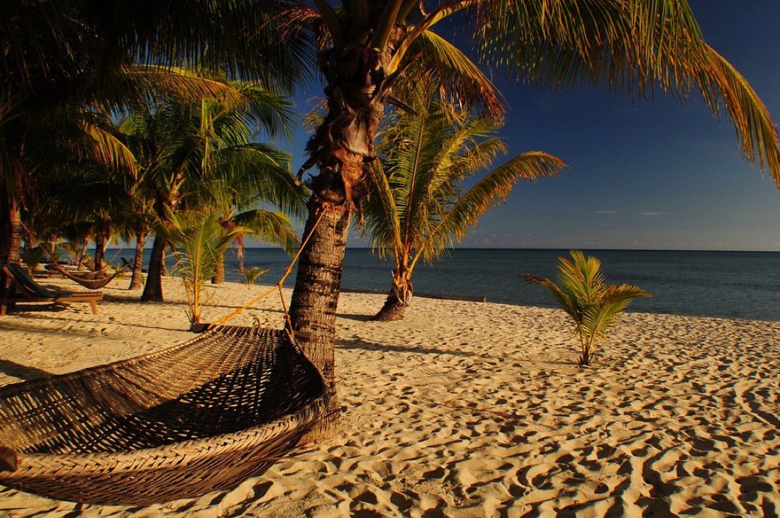 A hammock strung between palms over the sand