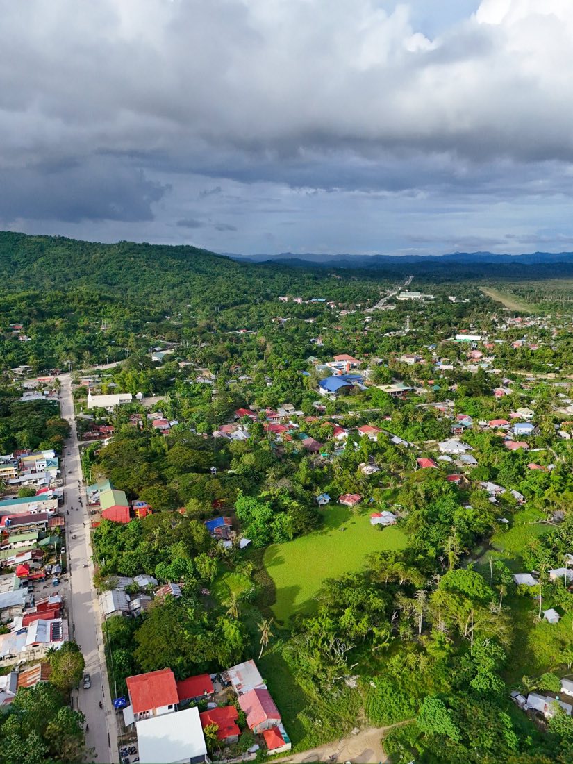 Aerial view of a green field among the houses and trees