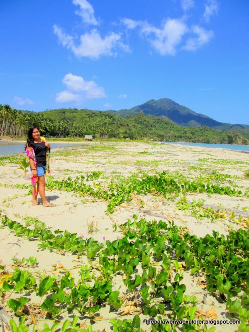 A visitor walking on a beach with hills behind