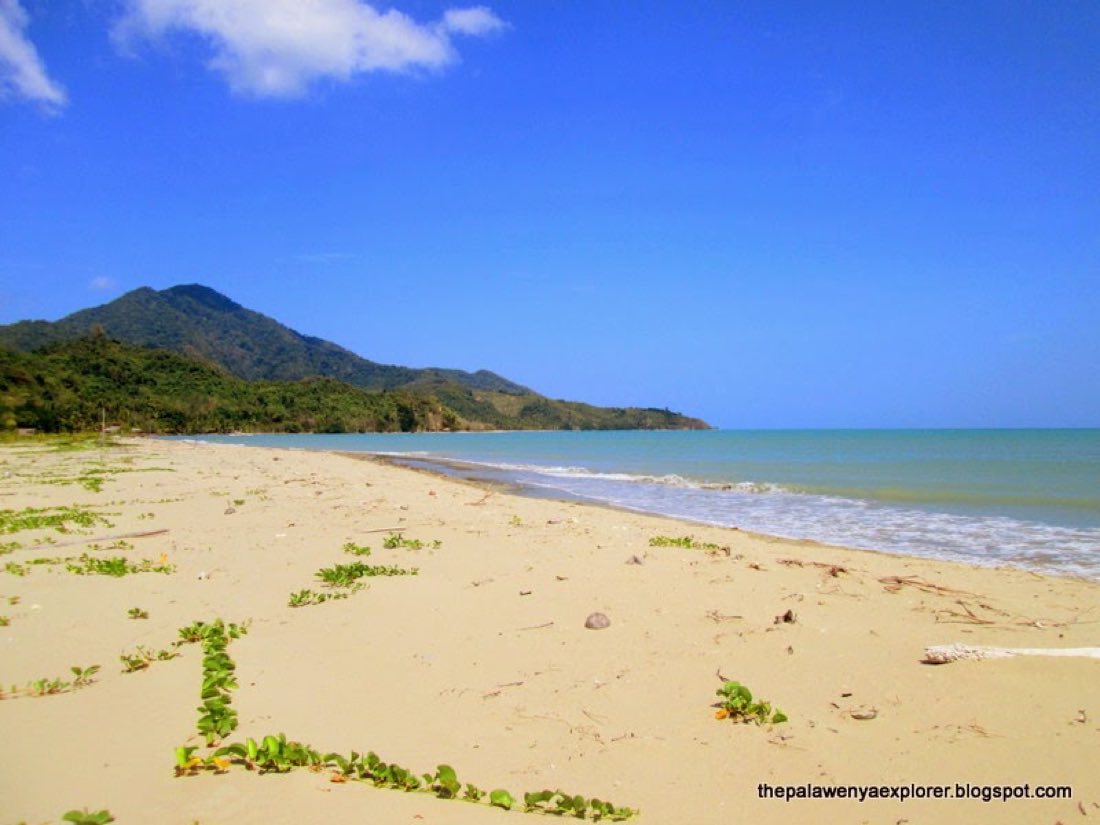 A wide quiet beach with green mountains behind it