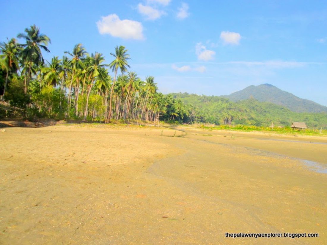 A sandy cove with mountains beyond