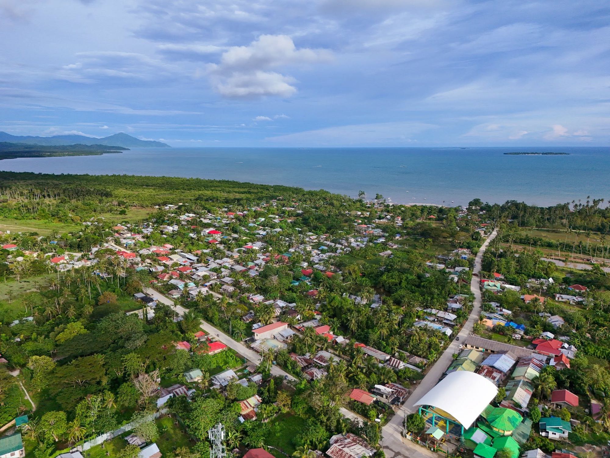 Aerial view of Roxas: rooftops among trees, a wide bay and islands on the horizon