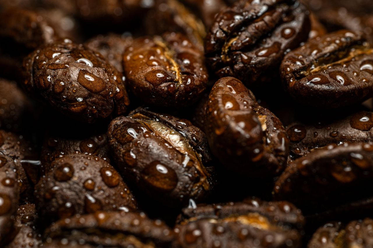Fresh coffee beans in a close-up view